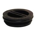 Backseat 1.5 in. Flush Plug With O-Ring BA886022